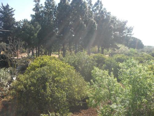 Agroturismo Tenuta Venezia