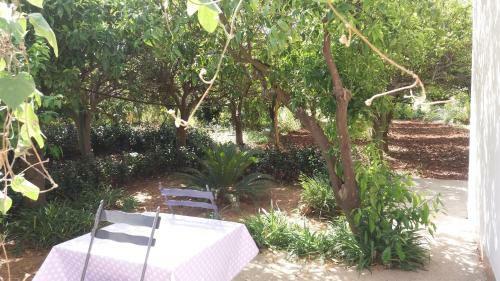 Agroturismo Tenuta Venezia