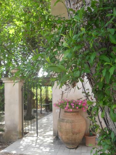 Agroturismo Tenuta Venezia