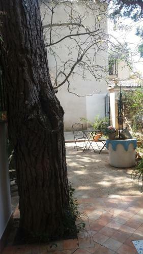 Agroturismo Tenuta Venezia