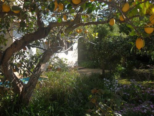 Agroturismo Tenuta Venezia