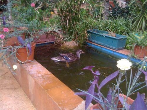 Agroturismo Tenuta Venezia