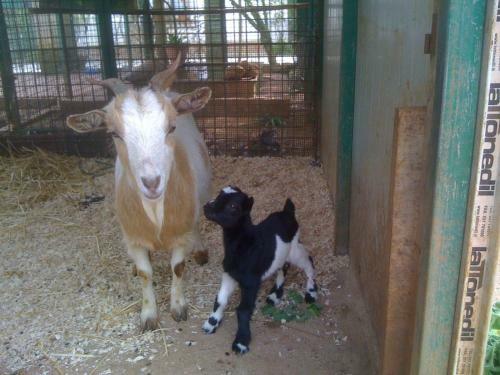 Agroturismo Tenuta Venezia