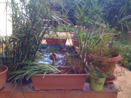 Agroturismo Tenuta Venezia