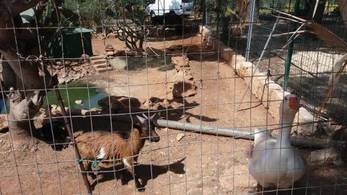 Agroturismo Tenuta Venezia