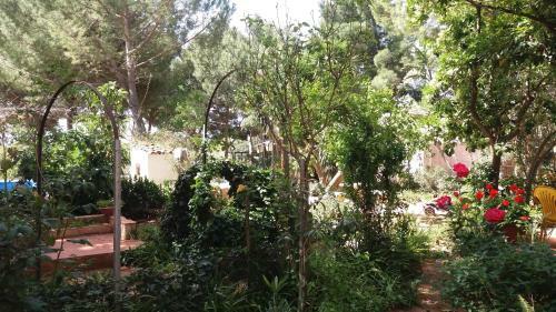 Agroturismo Tenuta Venezia