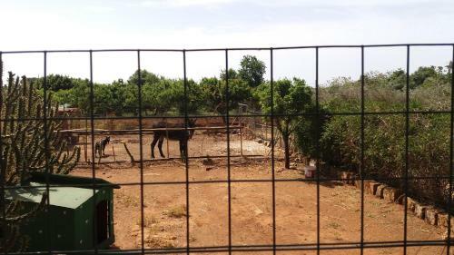 Agroturismo Tenuta Venezia
