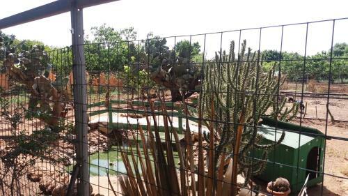 Agroturismo Tenuta Venezia
