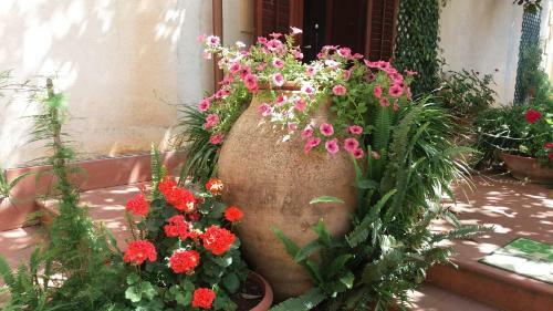 Agroturismo Tenuta Venezia