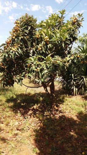 Agroturismo Tenuta Venezia