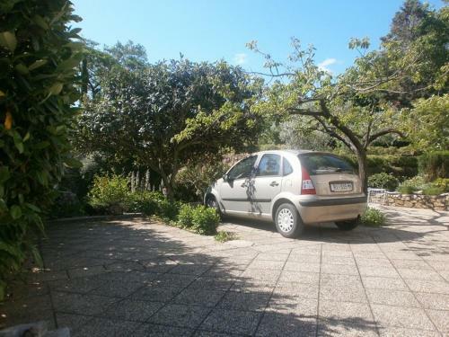 Apartment Biserka Close To Town Centre