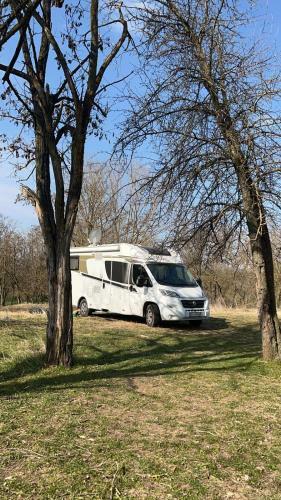 Vum Vum Free Travel