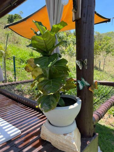 Chal� De Campo Mini Luxo Dos Lagos