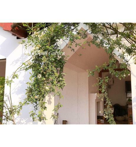 Bed & Breakfast Windmill Sapa Homstay