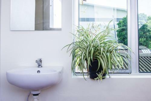 Explore 4br Gardenhouse Retreats (free Parking)