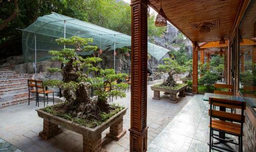 Trang An Viewpoint Homestay