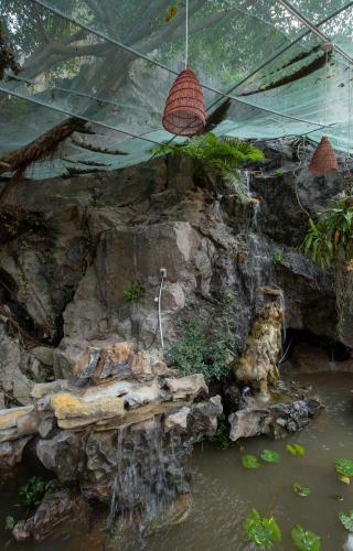 Trang An Viewpoint Homestay
