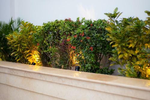 Hotel Kh�ch S?n S?m Ph� Qu� - Ninh Thu?n