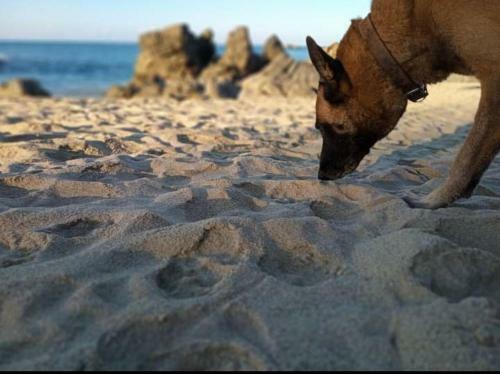 Apartamento Habitaci�n Para Mujer Shalom