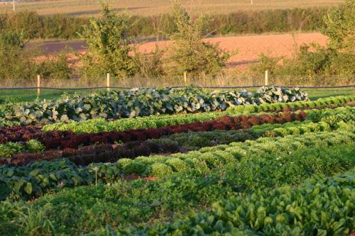 Hostal Huntstile Organic Farm