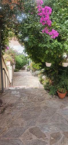 Apartamento Fantastic Sea View