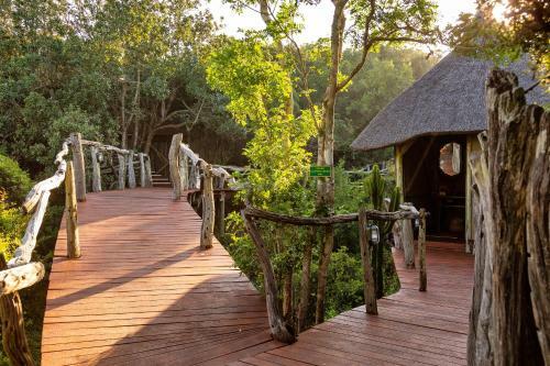 Lalibela Game Reserve Tree Tops Safari Lodge