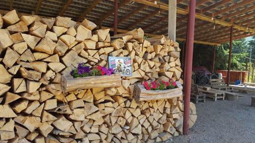 Hostal Pensiunea Florina