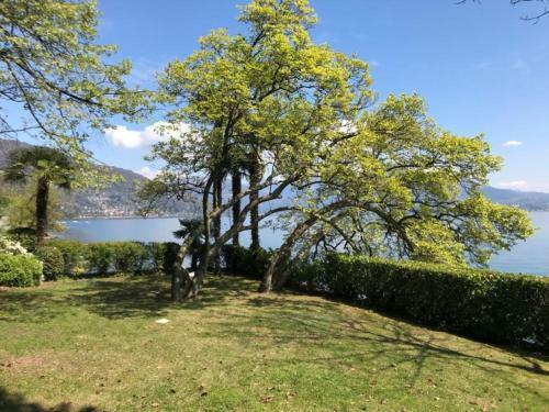 Apartamento Residenza Del Pasci� - Appartamento Camphora