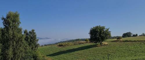Villa Le?na Chatka Boguszyn