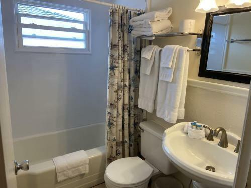 Holiday Court 17 - Sea Shell