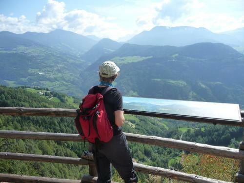 Hotel Steinegger
