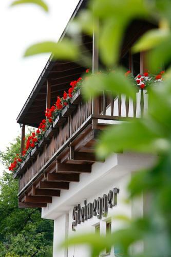 Hotel Steinegger