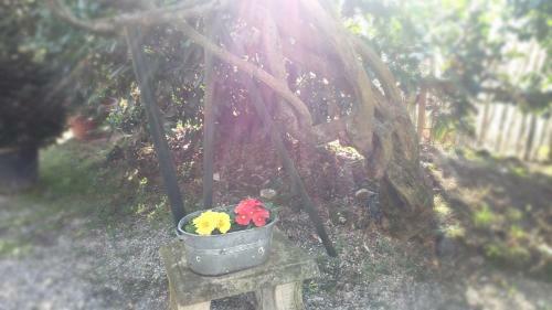 Country Hotel Ristorante Querce