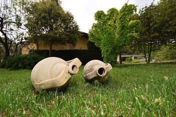 Agroturismo Giucalem La Casa Negli Orti
