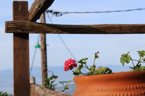 Apartamento Centaurs View
