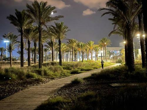 Apartamento Appartement ??los Pinos?? 50m De La Plage