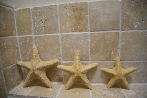 Bed & Breakfast Chambre D'h�tes Cottes