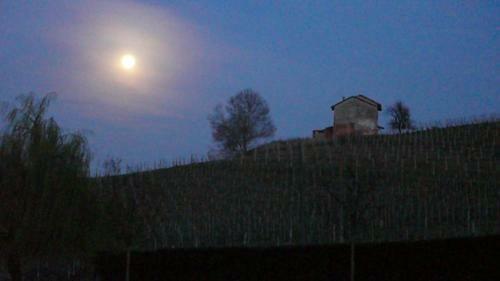 Villa Tenuta Contessa Chiara