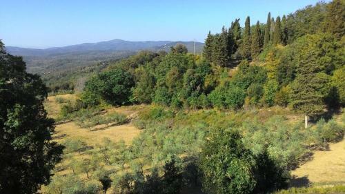 Apartamento La Casa Dei Sogni