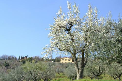 Agroturismo Agriturismo La Corte
