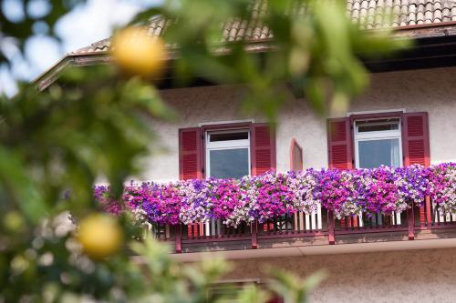 Angerburg Blumenhotel
