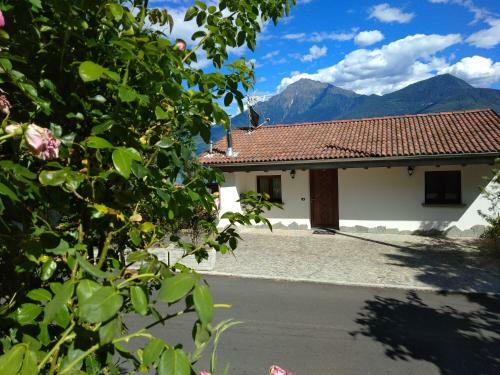 Apartment Rosa Dei Venti