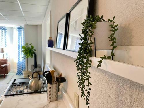 Tranquil Apartment For R&r In Historic Uptown