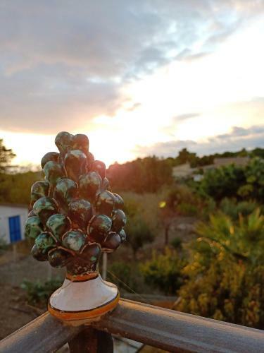 B&B Villa Sara Falconara