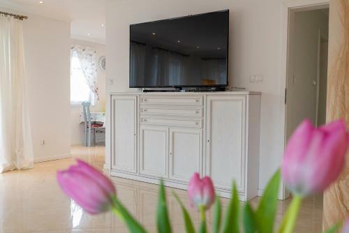 Apartament Na Urlop - Wis?a - Apartament Rustykalny