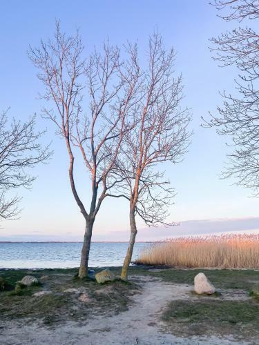 Moderner Bungalow In Boho-style, An Der Ostsee!