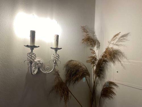 Apartamento Ferienwohnung Panoramablick - Alpenmagie Suites