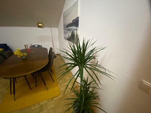 Apartamento Ferienwohnung Panoramablick - Alpenmagie Suites