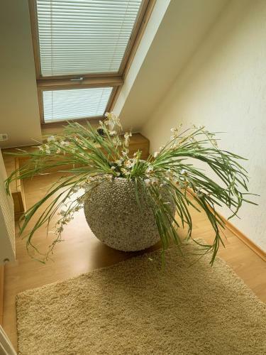 Apartamento Ferienwohnung Toni