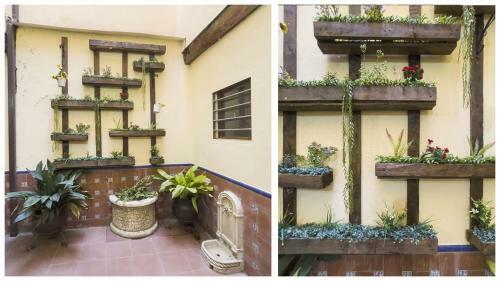 Apartamento La Casa P�rpura